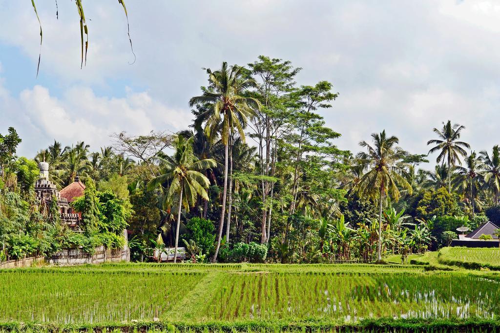 Ubud Kartini Hostel Exteriör bild