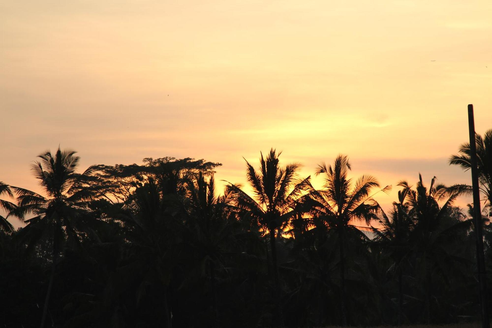 Ubud Kartini Hostel Exteriör bild
