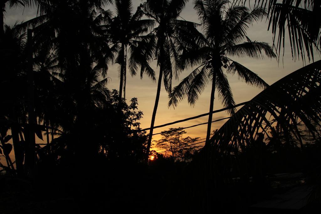 Ubud Kartini Hostel Exteriör bild