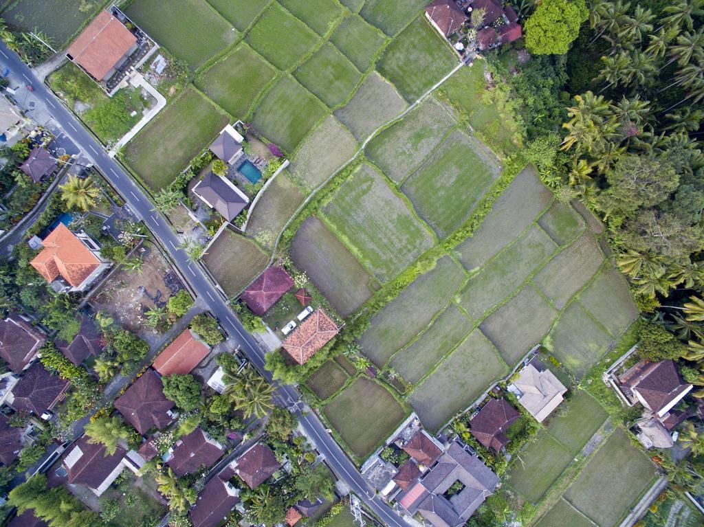 Ubud Kartini Hostel Exteriör bild